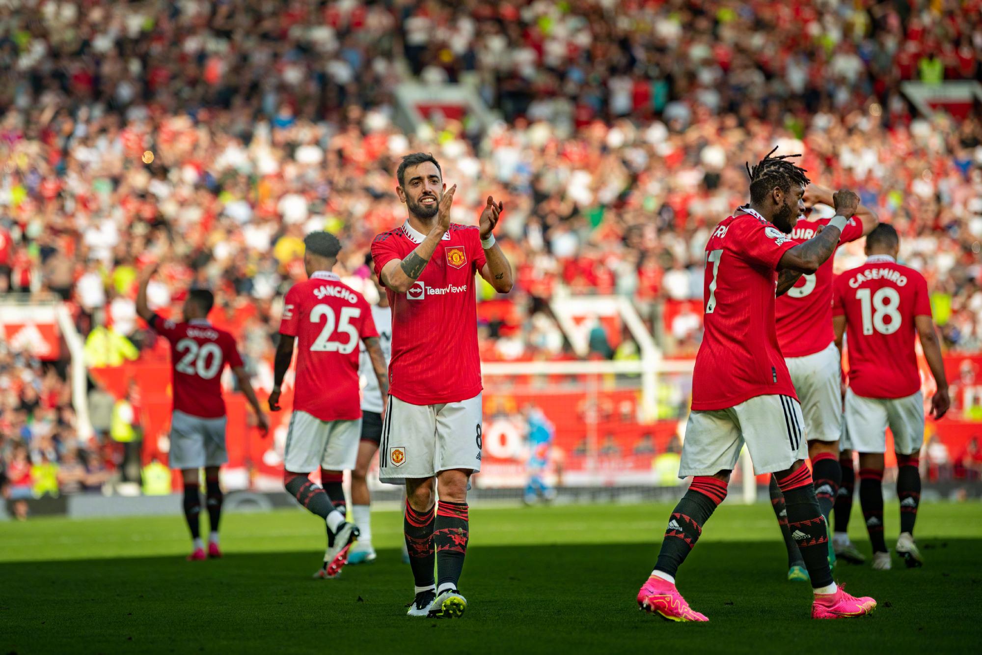 但由于缺乏 但由于缺乏